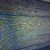 The Value of Digital Expense Tracking